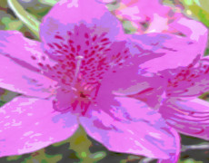 Photoshop Effects Demo